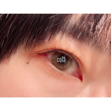 カラーキット(シグネチャー)/THE N.B.P/アイシャドウパレットを使ったクチコミ(5枚目)