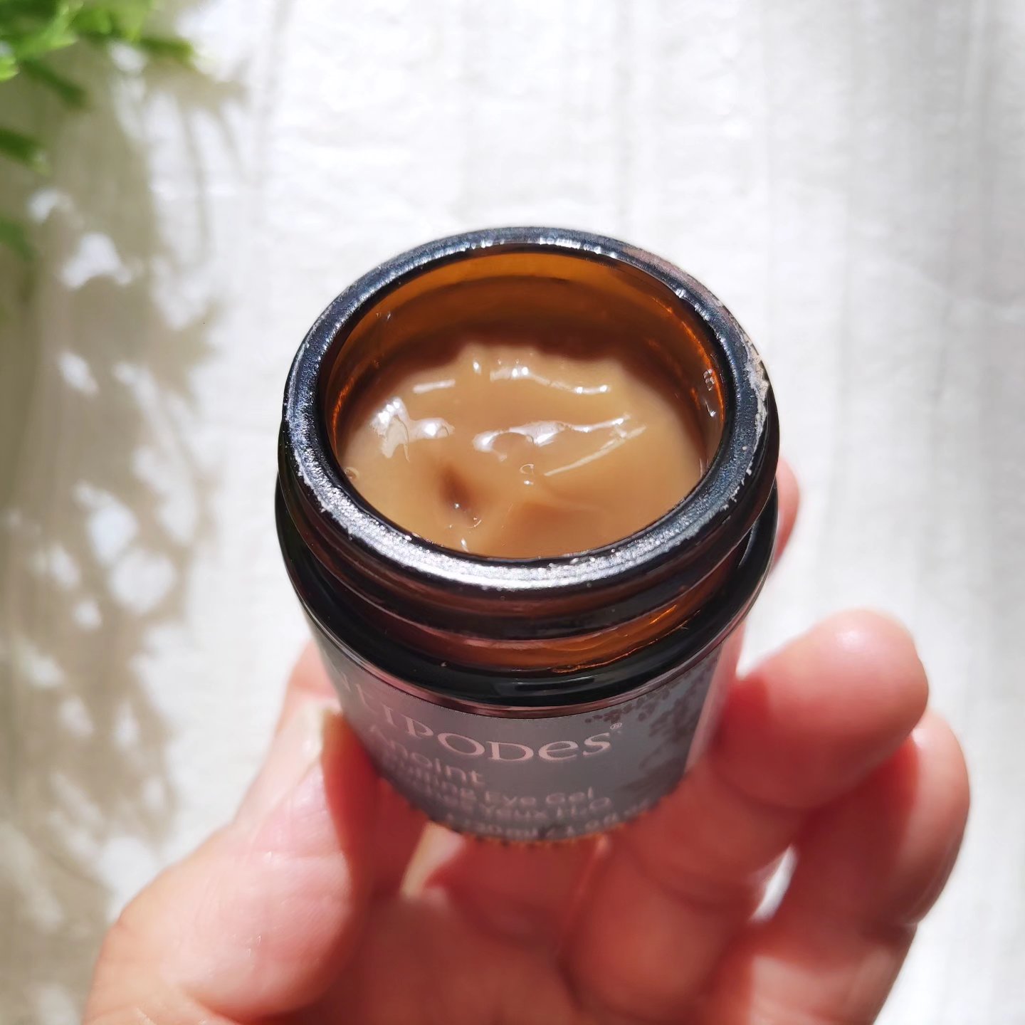 アノイント H2O ディパッフィング アイジェル/Antipodes/アイケア・アイクリームを使ったクチコミ（3枚目）