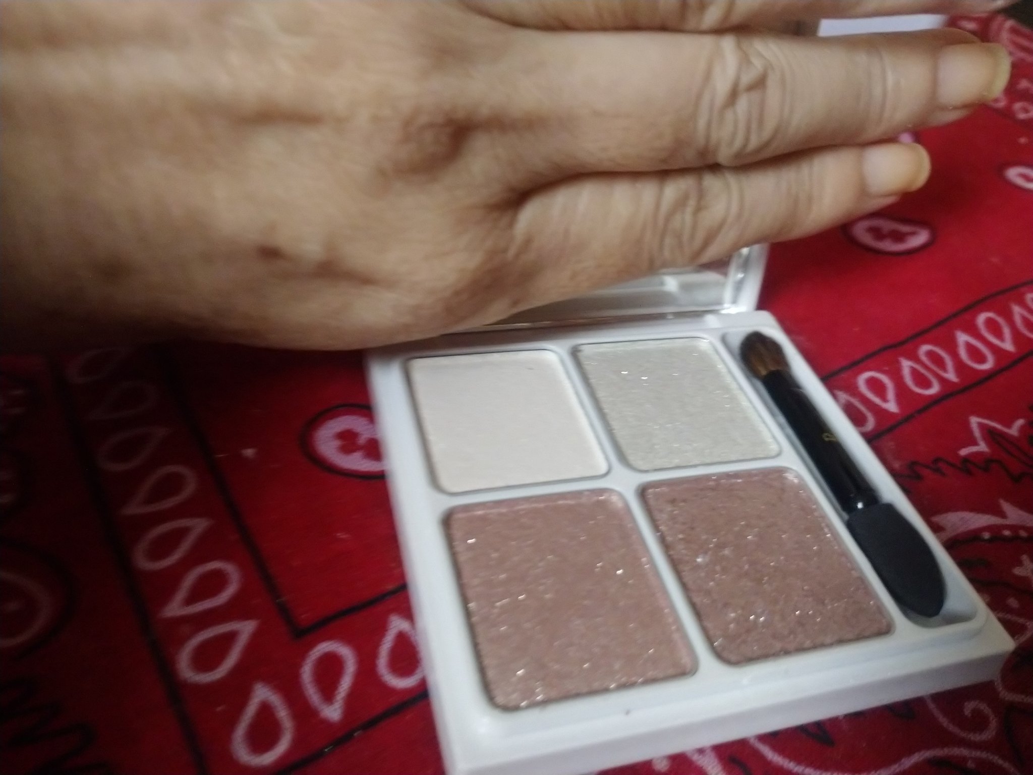 クリスマスコレクション 2023年/Ririmew/メイクアップキットを使ったクチコミ（1枚目）