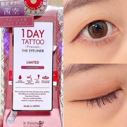 1DAY TATTOO プロキャスト ザ・アイライナー/K-パレット/リキッドアイライナーを使ったクチコミ(3枚目)