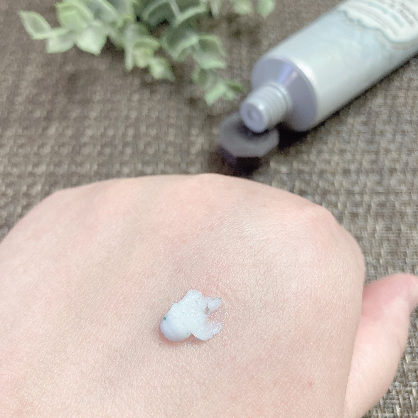 フェイスポリッシャー リフレッシング(ミント)/SABON/スクラブ・ゴマージュを使ったクチコミ(3枚目)