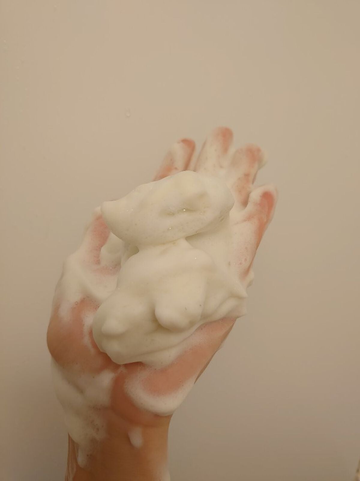 ワフードメイド 宇治抹茶酵素洗顔/pdc/洗顔パウダーを使ったクチコミ(2枚目)