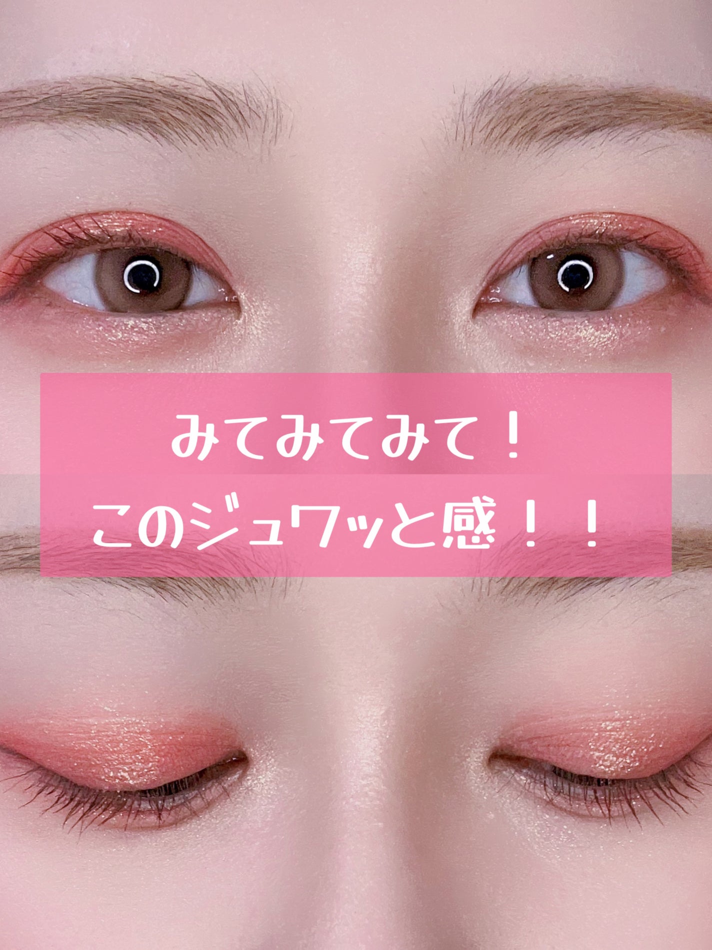 エクスプローラ12色 動物アイシャドウパレット/PERFECT DIARY/アイシャドウパレットを使ったクチコミ(1枚目)