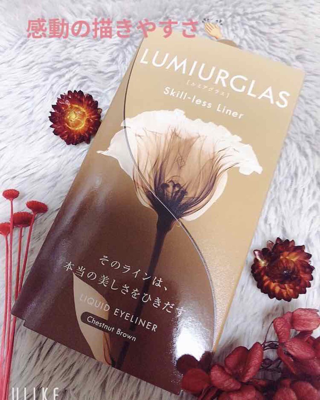 スキルレスライナー/LUMIURGLAS/リキッドアイライナーを使ったクチコミ(1枚目)