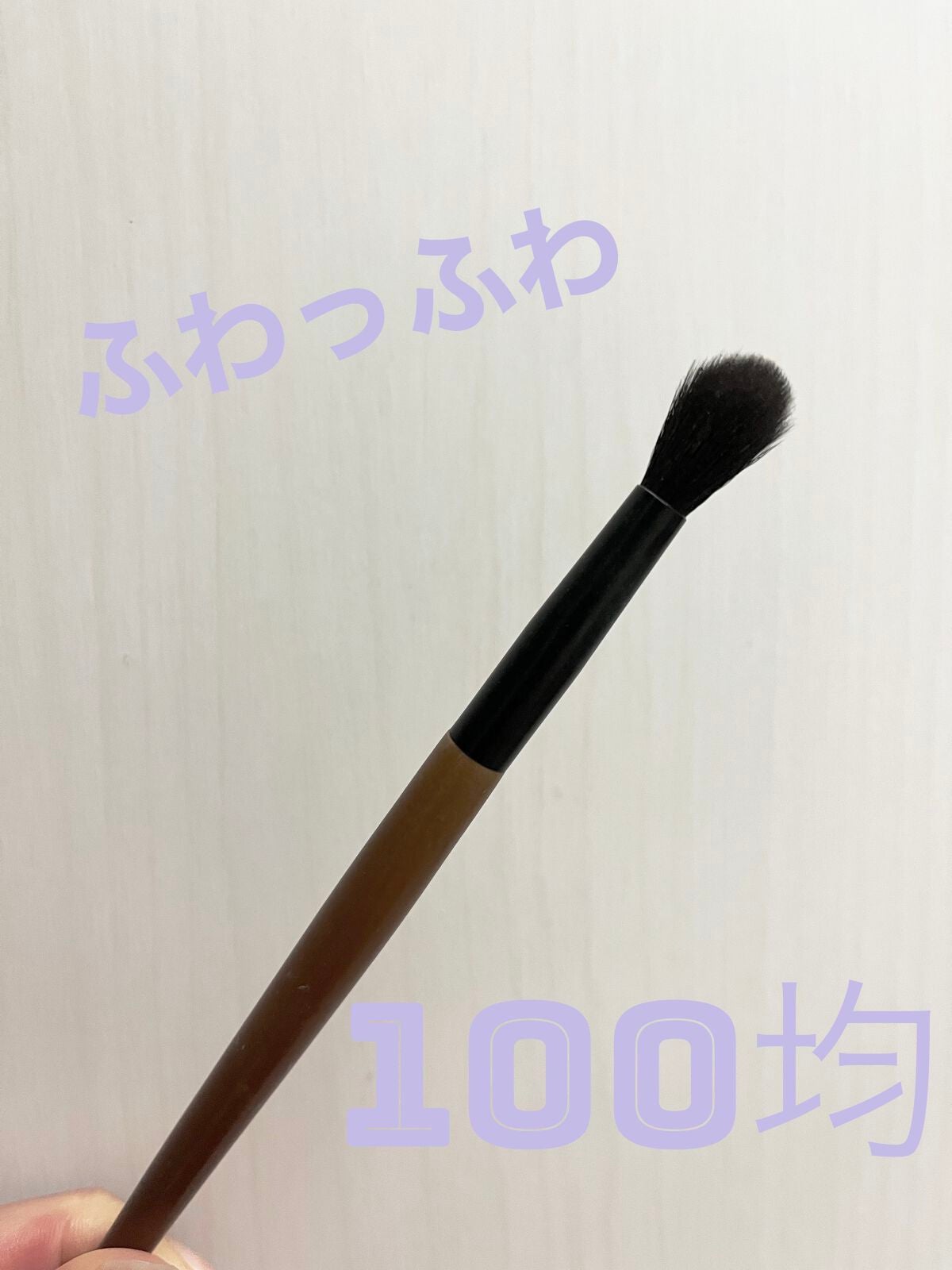 ごくふわブラシ/DAISO/メイクブラシを使ったクチコミ(1枚目)