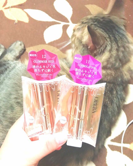 オペラ リップティント N/OPERA/リップティントを使ったクチコミ(1枚目)