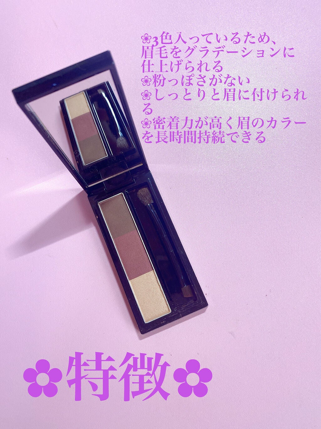 ヴィセ リシェ アイブロウパウダー/Visée/パウダーアイブロウを使ったクチコミ(2枚目)