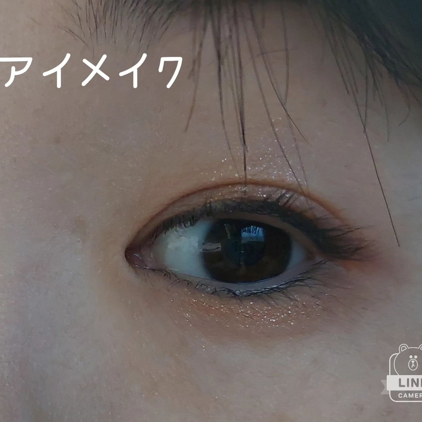 ビタートーンアイシャドウ/CEZANNE/パウダーアイシャドウを使ったクチコミ(2枚目)