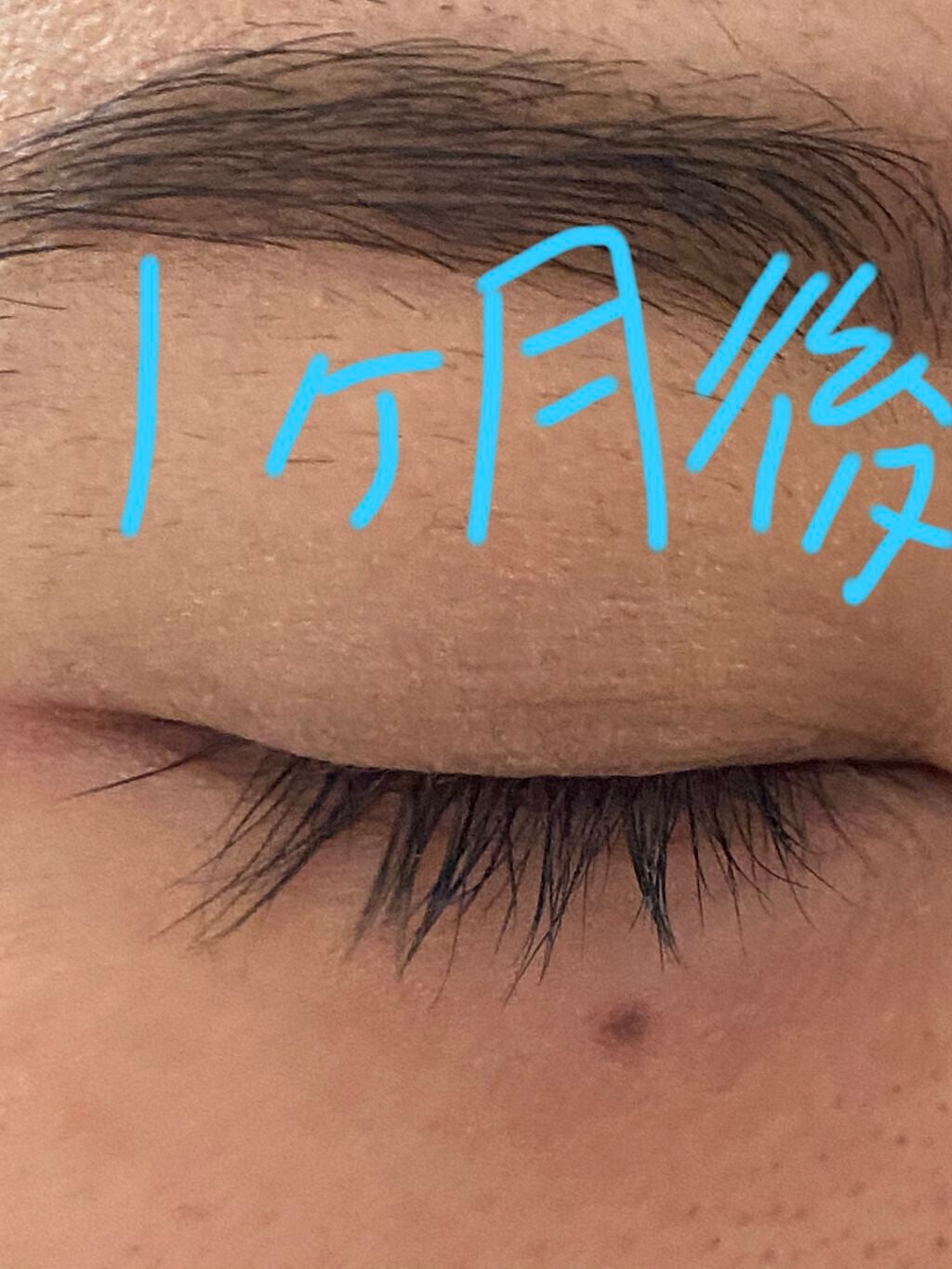 梨子 on LIPS 「かなり伸びたまつ毛美容液生えてないところも生えてくるふさふさよ..」(2枚目)