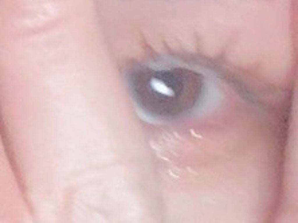 クイックラッシュカーラー/キャンメイク/マスカラ下地を使ったクチコミ(1枚目)