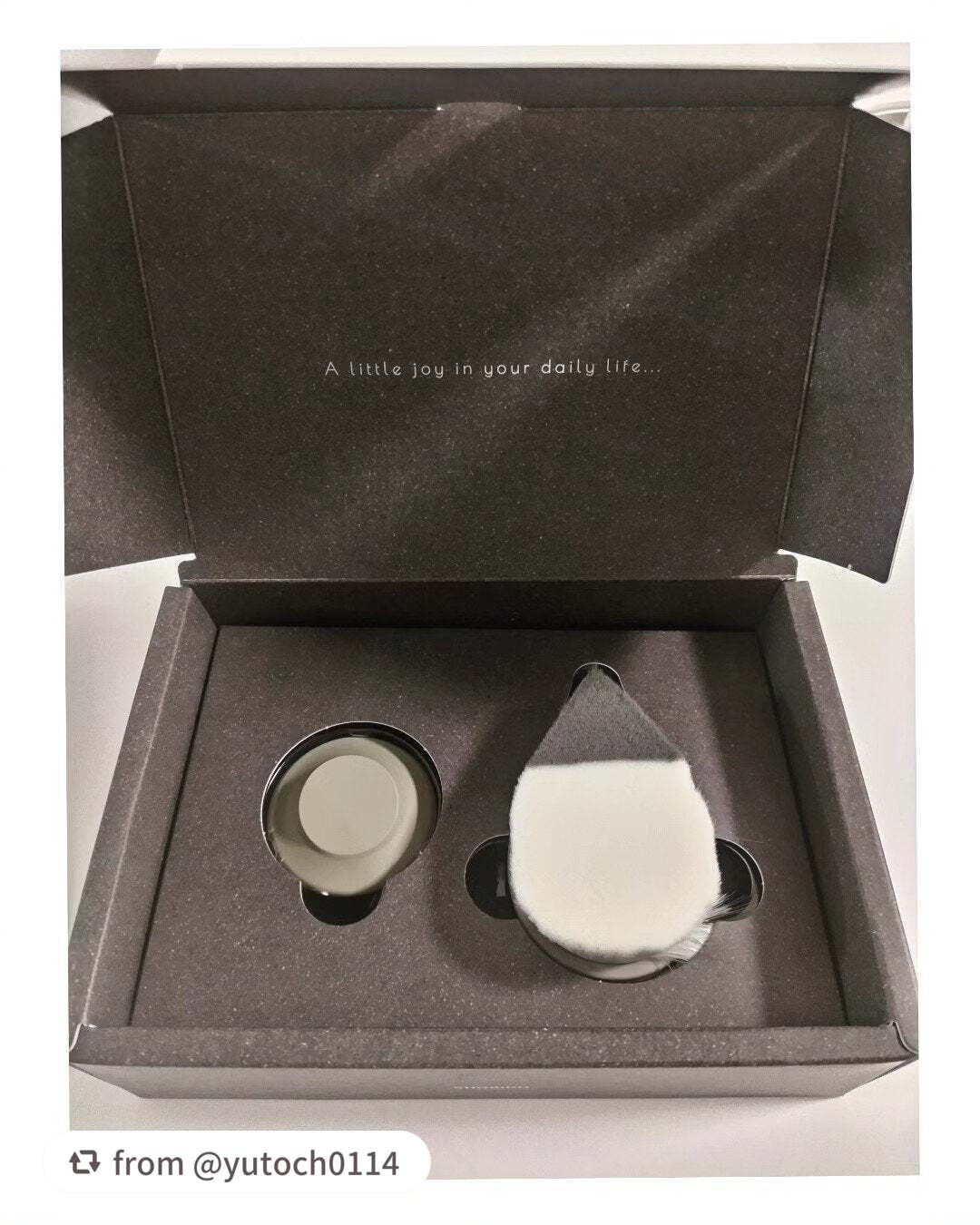 リッチホイップブラシSHINKA(シンカ)/SHOBIDO/その他スキンケアグッズを使ったクチコミ(4枚目)