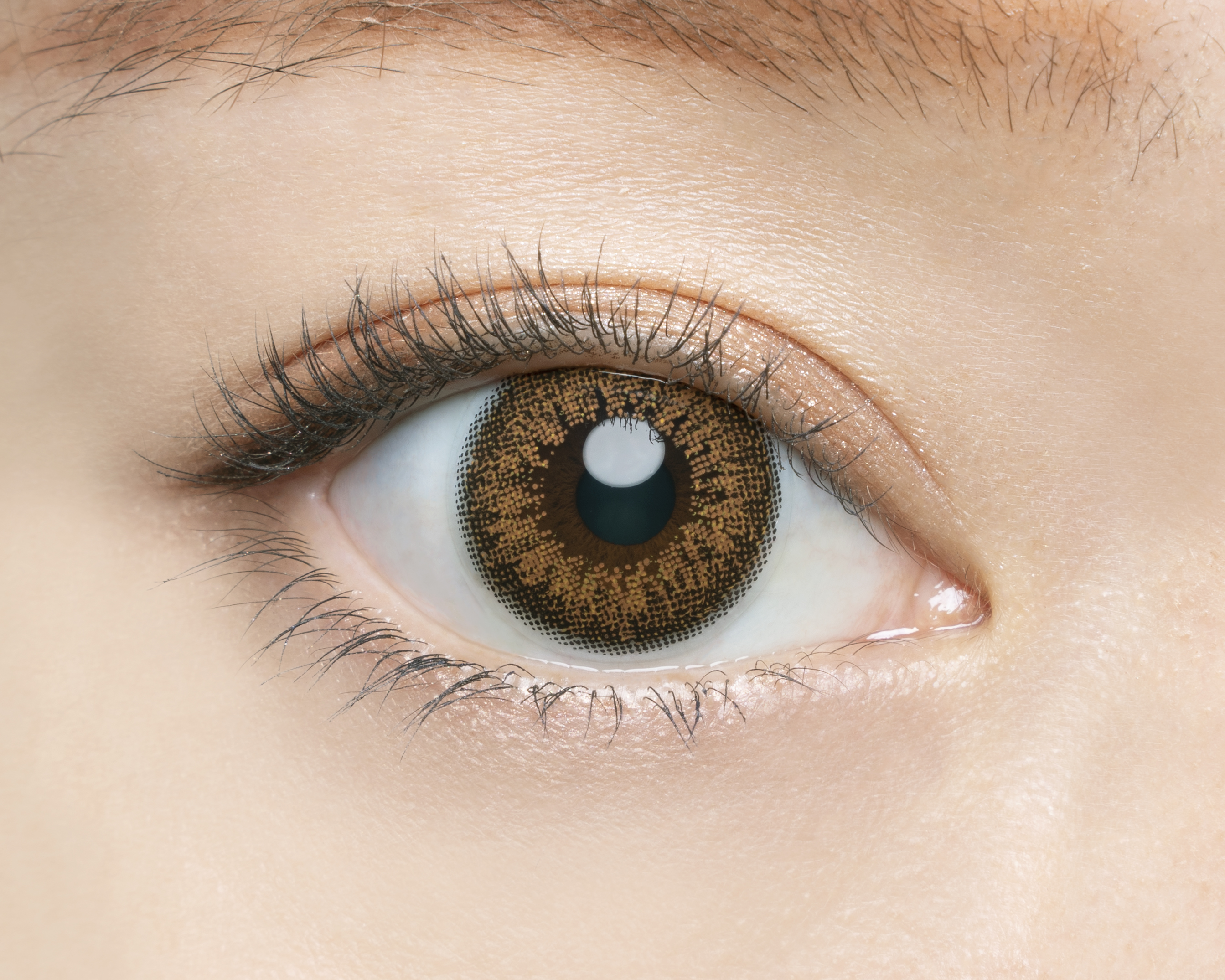 Angelcolor Bambi Series Vintage 1day ヴィンテージブラウン