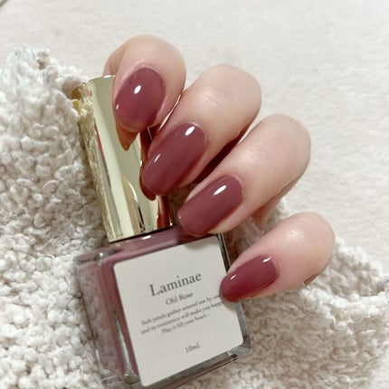 nail polish/Laminae/マニキュアを使ったクチコミ(1枚目)