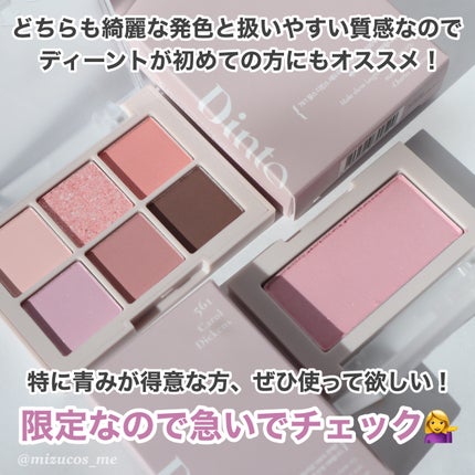ブラーフィニシュシャドウパレット/Dinto/アイシャドウパレットを使ったクチコミ(9枚目)
