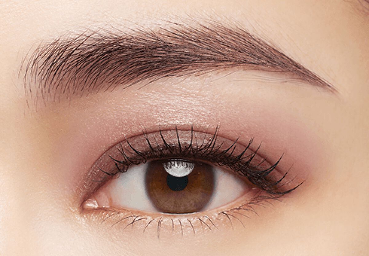 ドラマティックアイカラー (マルチ) RD342 ベリーティラミス