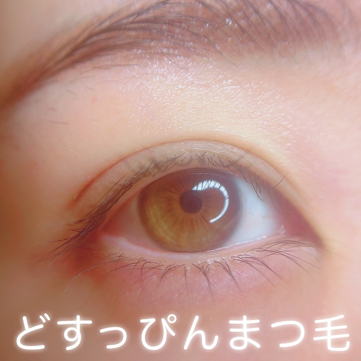 ラッシュアディクト アイラッシュコンディショニングセラム/soaddicted/まつげ美容液を使ったクチコミ(1枚目)