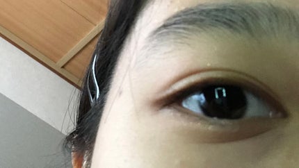 パーフェクトスタイリストアイズ/キャンメイク/アイシャドウパレットを使ったクチコミ(7枚目)