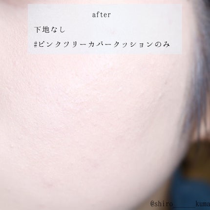 ピンクティーツリーカバークッション/APLIN/クッションファンデーションを使ったクチコミ(6枚目)