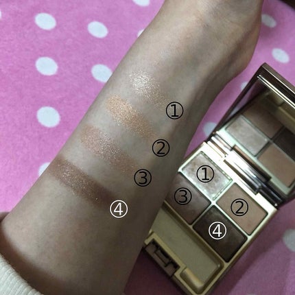 スキンモデリングアイズ/LUNASOL/アイシャドウパレットを使ったクチコミ(2枚目)