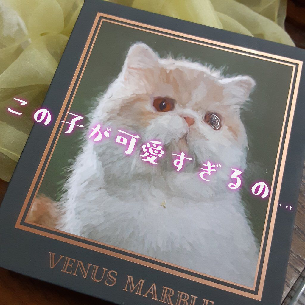 Venus Marble アイシャドウキャットシリーズ/Venus Marble/アイシャドウパレットを使ったクチコミ(1枚目)