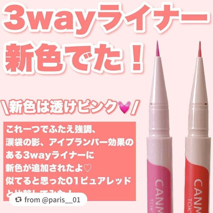 3wayスリムアイルージュライナー/キャンメイク/リキッドアイライナーを使ったクチコミ(2枚目)