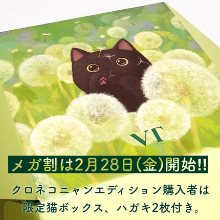 マイルドリードルショット50/VT/美容液を使ったクチコミ(8枚目)