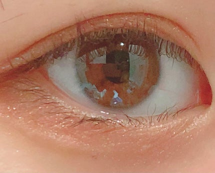 プロ アイ パレット/CLIO/アイシャドウパレットを使ったクチコミ(1枚目)