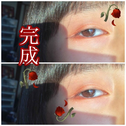 ラブ・ライナー リキッドアイライナーR3/ラブ・ライナー/リキッドアイライナーを使ったクチコミ(3枚目)