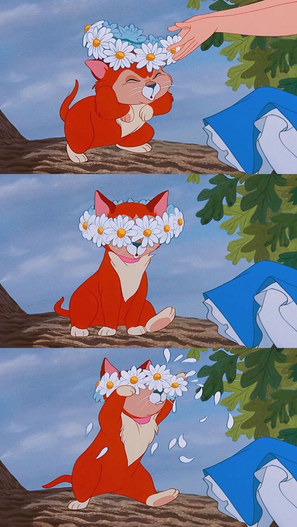 オペラ リップティント N/OPERA/リップティントを使ったクチコミ（1枚目）