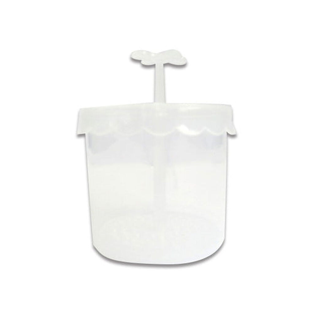 ほいっぷるん / DAISO