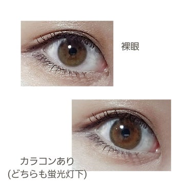 セレクトフェアリー ユーザーセレクト ワンデー Sunny Brown/FAIRY/ワンデー（１DAY）カラコンを使ったクチコミ（3枚目）