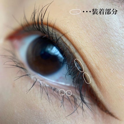 ハッピーリム アイラッシュ インディビジュアル/THE TOOL LAB/つけまつげを使ったクチコミ(9枚目)