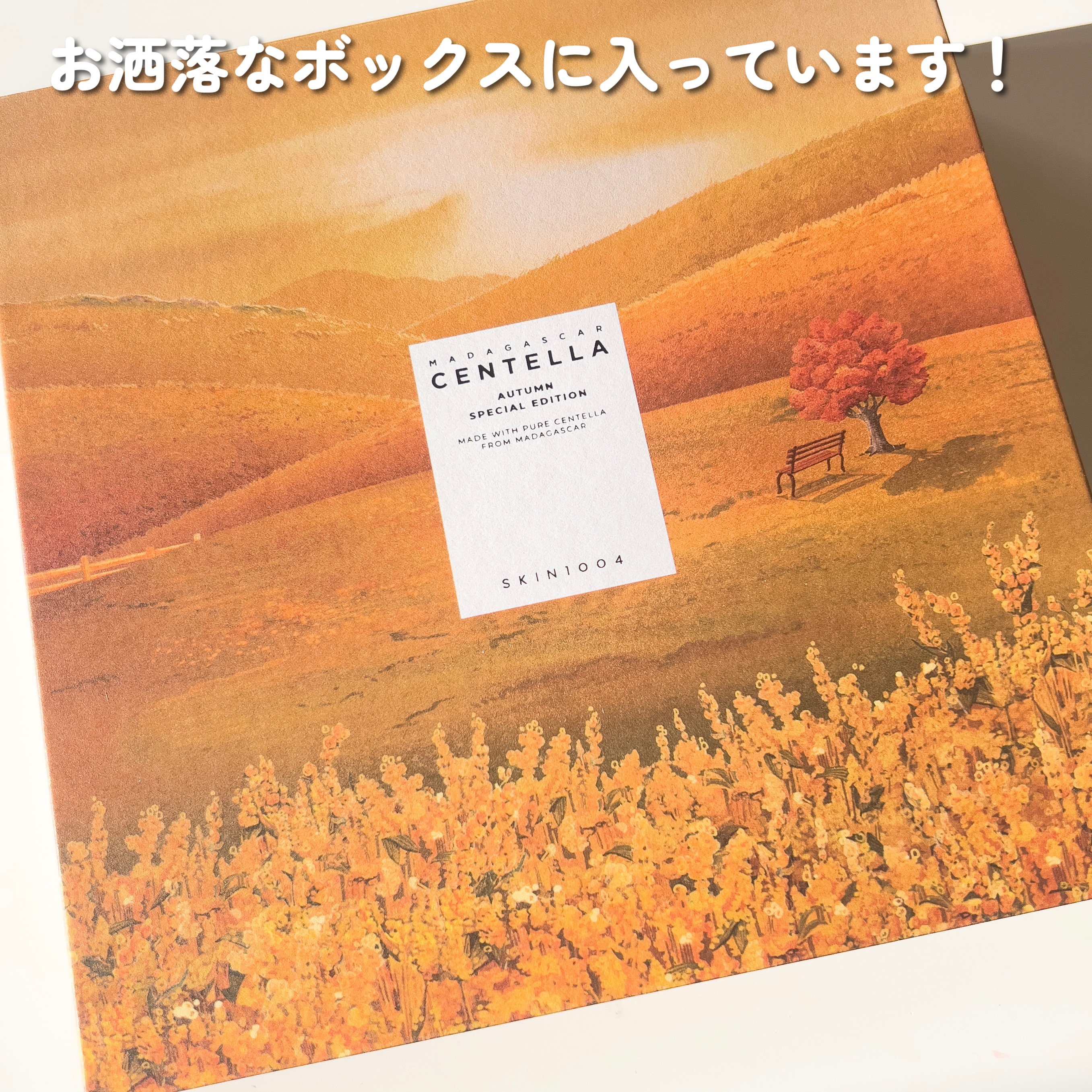 センテラ クリーム/SKIN1004/フェイスクリームを使ったクチコミ（3枚目）