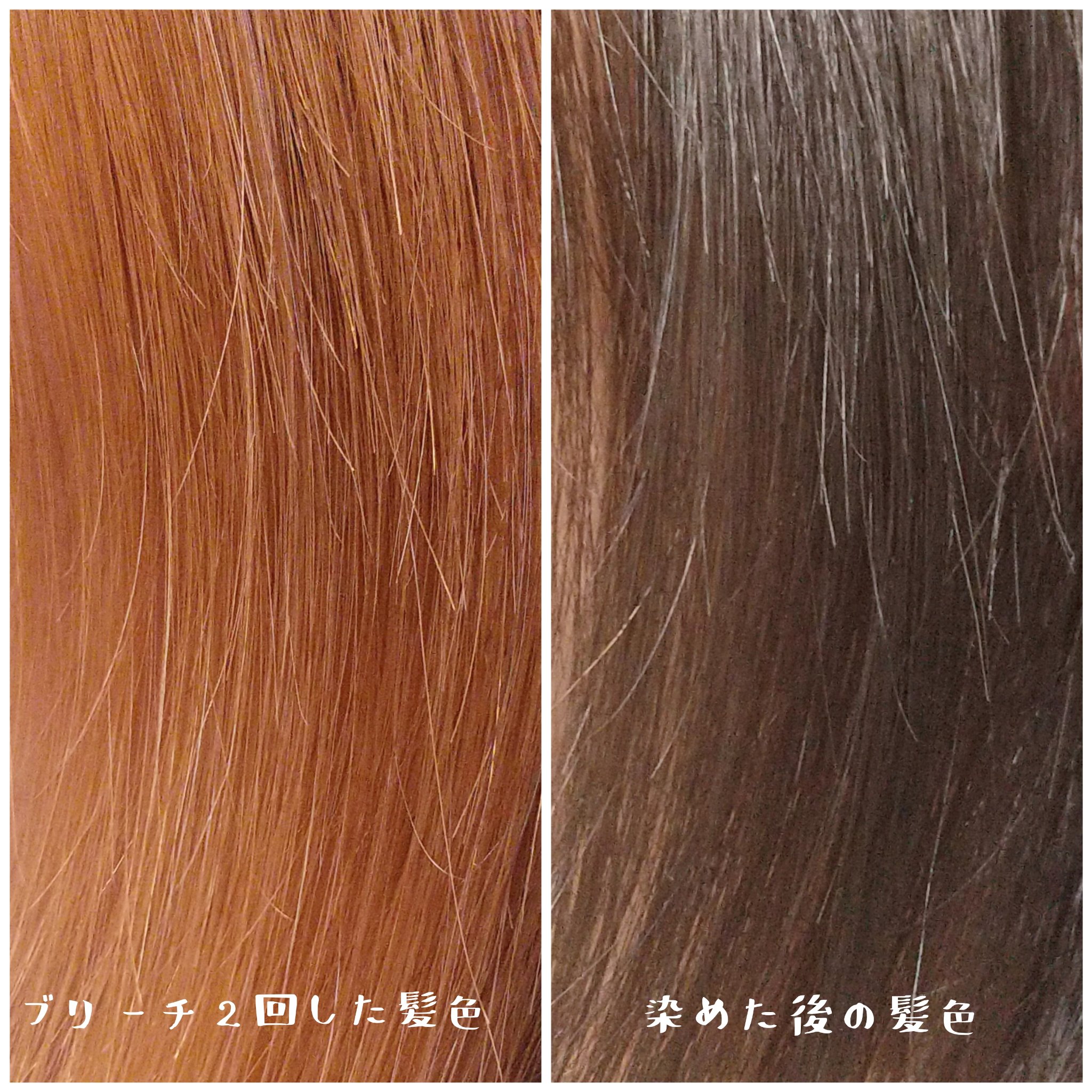 ボンディング・メタリックス M12 ブルネットグレージュ/got2b/ヘアカラーを使ったクチコミ（3枚目）