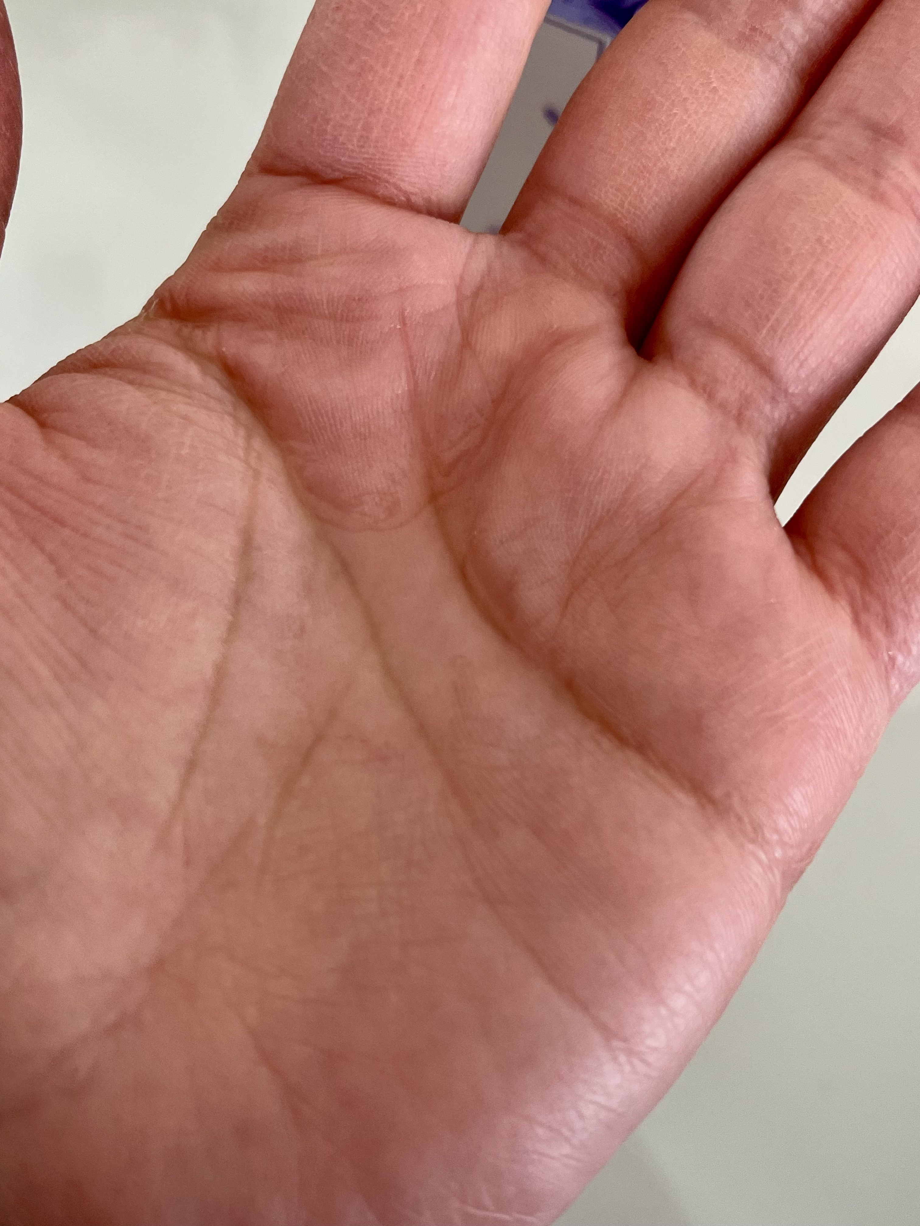 ハンド セラム クリーム /revitte/ハンドクリームを使ったクチコミ（3枚目）