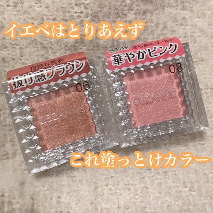 シングルカラーアイシャドウ/CEZANNE/単色アイシャドウを使ったクチコミ(1枚目)