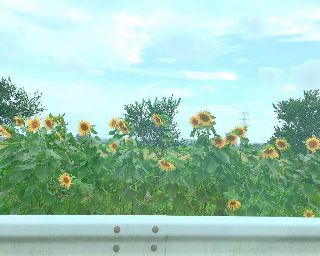 ルージュ・アンテルディ・テンプテーション/GIVENCHY/口紅を使ったクチコミ（3枚目）