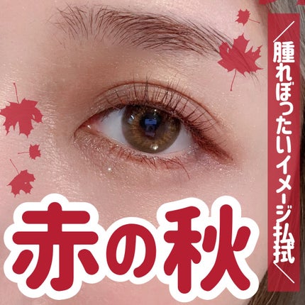 エテュセ アイエディション(マスカラ)/ettusais/マスカラを使ったクチコミ(1枚目)