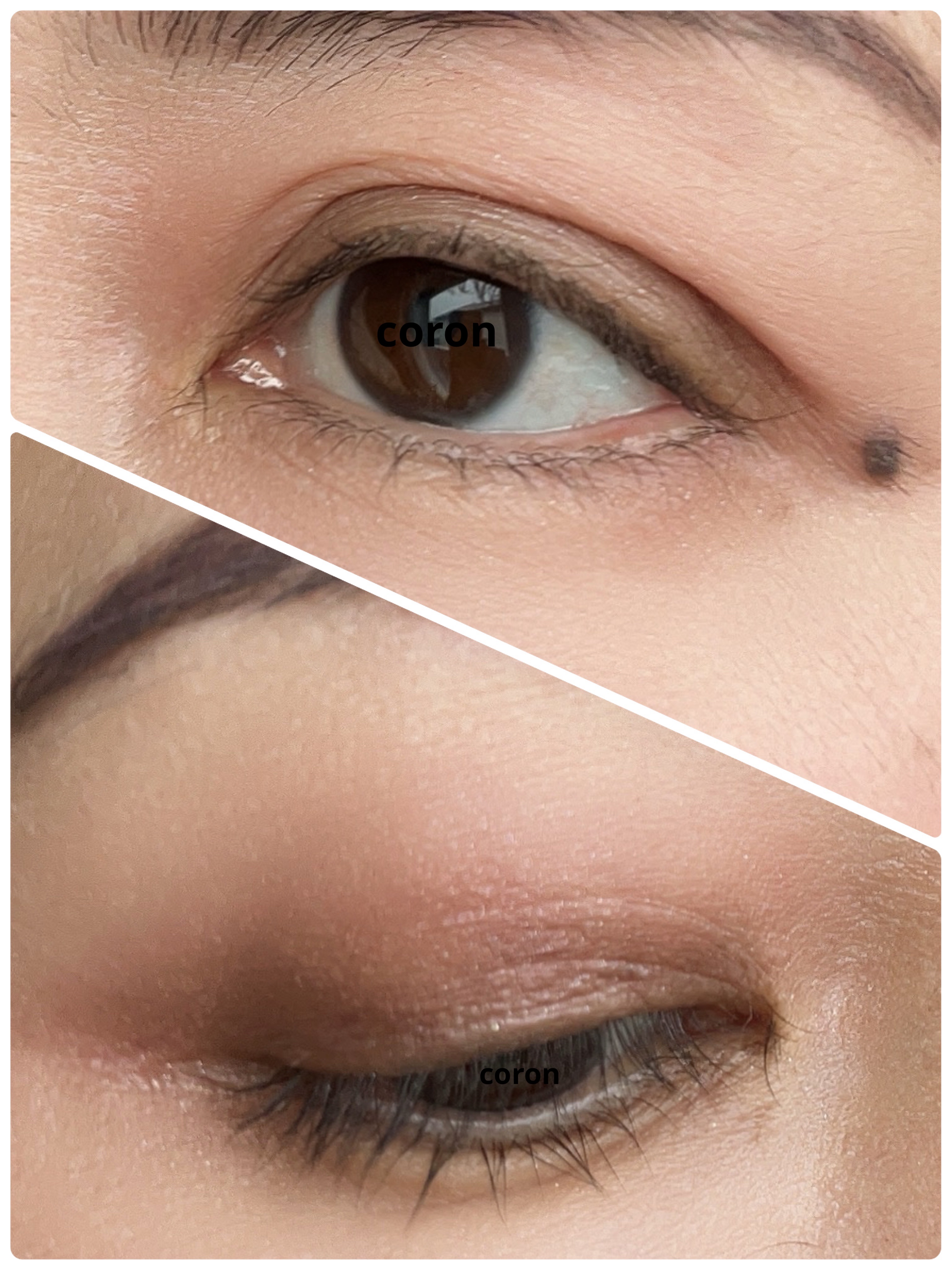 コンスピキュアス ダブルアイズ/Amplitude/アイシャドウパレットを使ったクチコミ（2枚目）