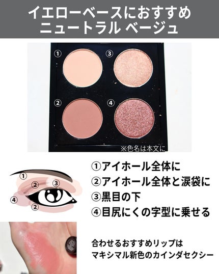オータムコレクションアイシャドウパレット/M・A・C/アイシャドウパレットを使ったクチコミ(4枚目)