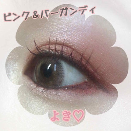 リアルクローズシャドウ/excel/アイシャドウパレットを使ったクチコミ(2枚目)