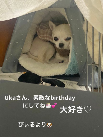 ヴェルニ ロング トゥニュ/CHANEL/マニキュアを使ったクチコミ(8枚目)