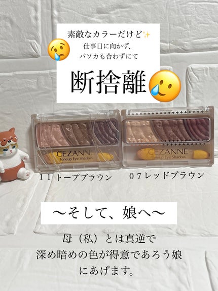 トーンアップアイシャドウ/CEZANNE/アイシャドウパレットを使ったクチコミ(1枚目)