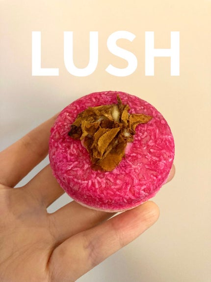 ココナイス ケーキ/ラッシュ/シャンプー・コンディショナーを使ったクチコミ(1枚目)