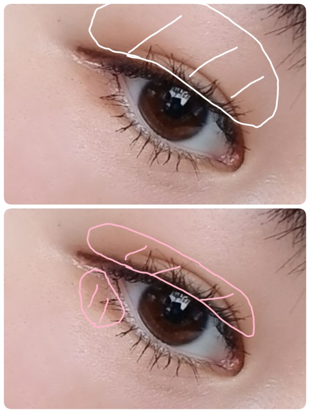 クイックラッシュカーラー/キャンメイク/マスカラ下地を使ったクチコミ（3枚目）