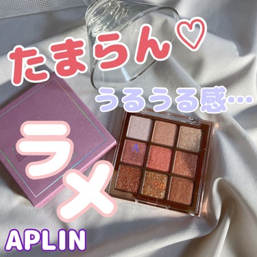 ワンピックアイシャドウパレット/APLIN/パウダーアイシャドウを使ったクチコミ（1枚目）