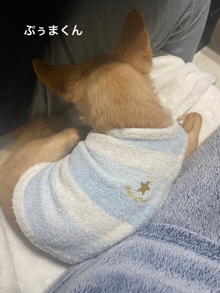 【旧】ディオール アディクト リップ マキシマイザー/Dior/リップグロスを使ったクチコミ(6枚目)