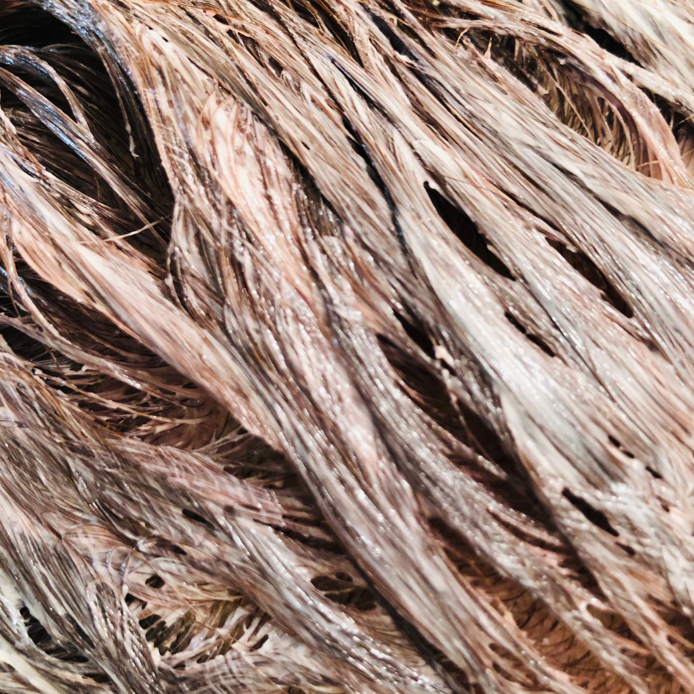 ウエラトーン ツープラスワン クリームタイプ/ウエラ/ヘアカラーを使ったクチコミ(3枚目)