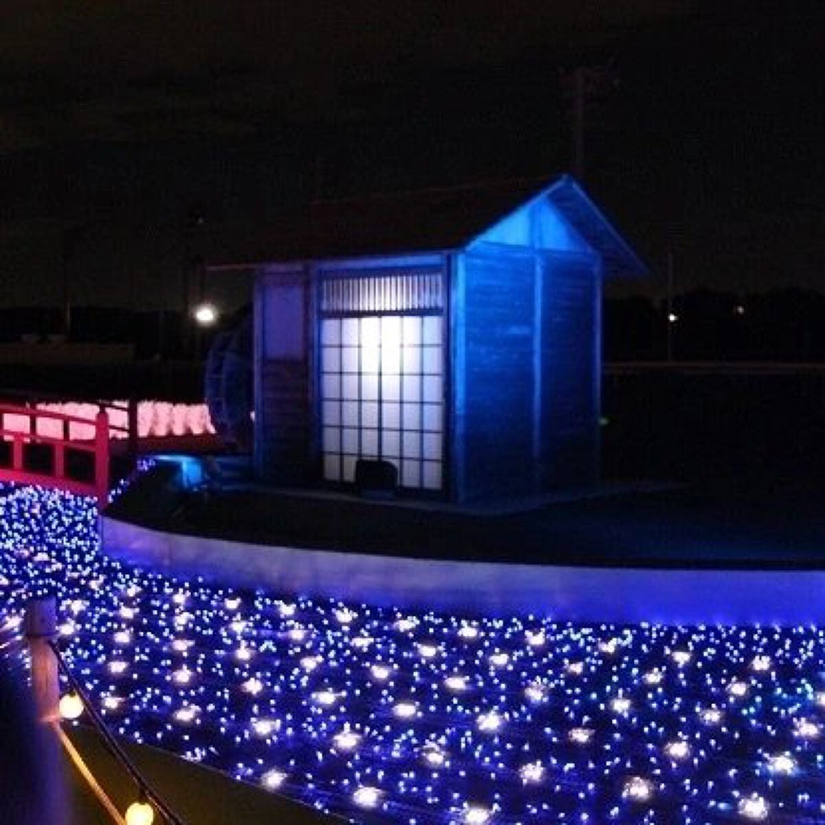 みとらん on LIPS 「東京メガイルミ2022-2023プレオープンデーに家族でお邪魔..」(7枚目)