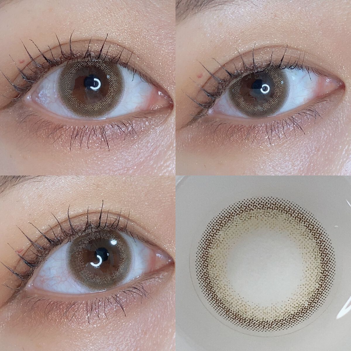 エバーカラーワンデーニコリ/エバーカラー/ワンデー（１DAY）カラコンを使ったクチコミ（3枚目）